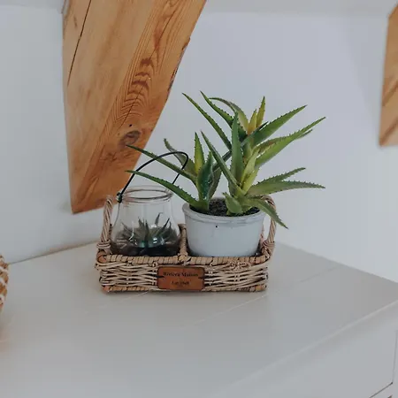 Lagune No1 4* Büsum